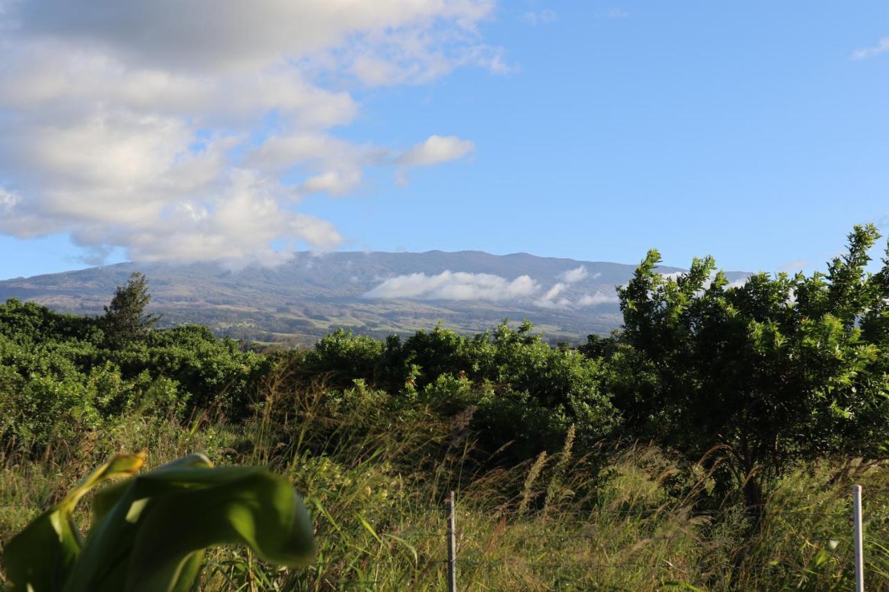 God'S Peace Of Maui Bed & Breakfast Makawao Luaran gambar