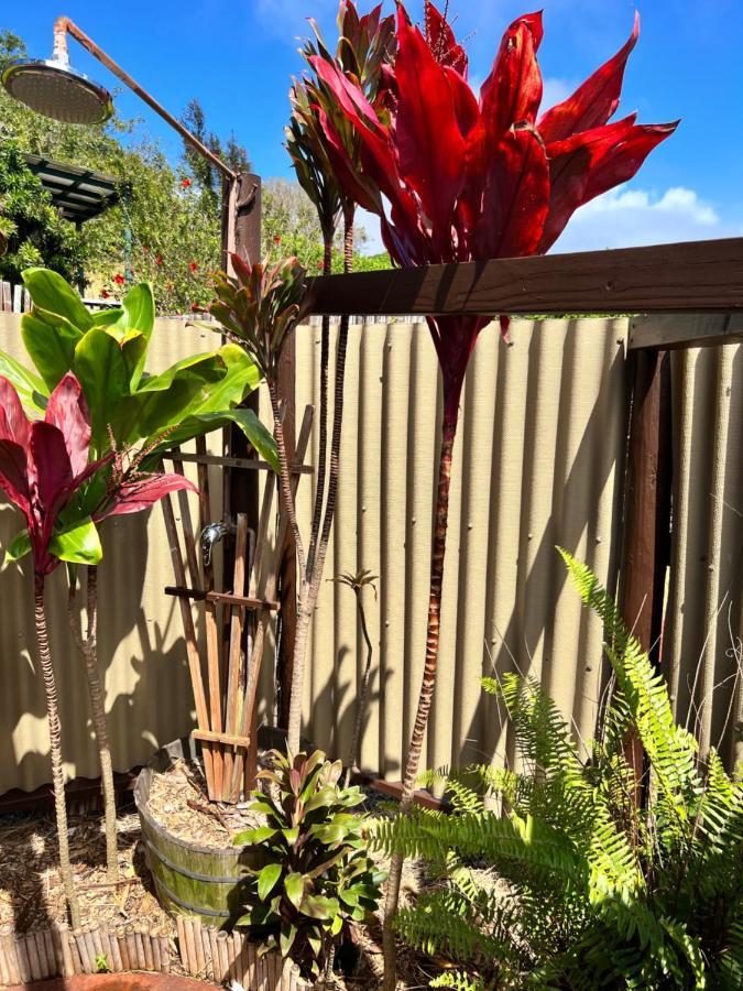 God'S Peace Of Maui Bed & Breakfast Makawao Luaran gambar