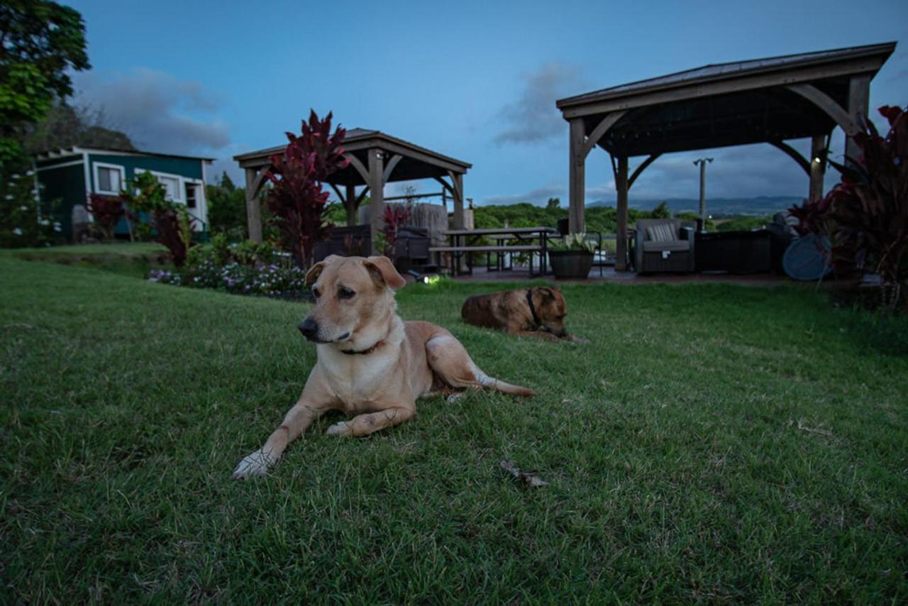 God'S Peace Of Maui Bed & Breakfast Makawao Luaran gambar